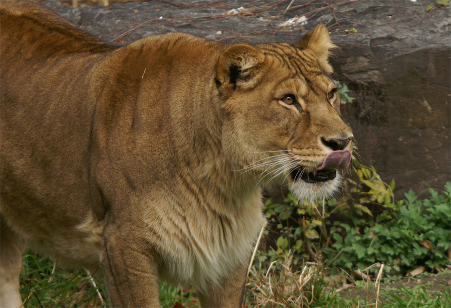 e0002371_21173424.jpg