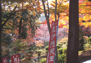 e0025073_955211.jpg