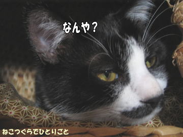 b0041182_13181954.jpg