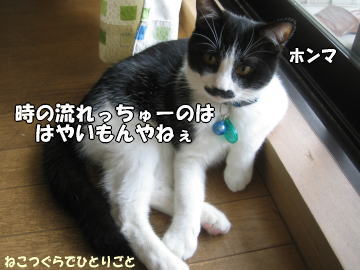 b0041182_9242790.jpg