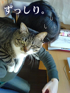 c0035001_22174839.jpg
