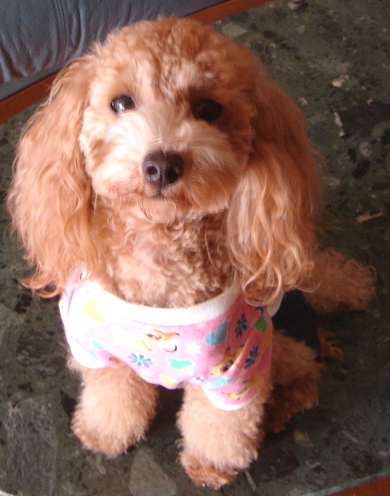 c0041207_10265391.jpg