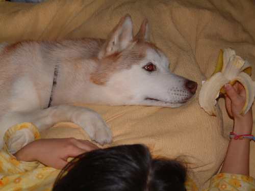 e0001110_9161247.jpg