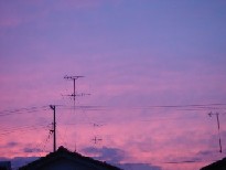 e0090714_858173.jpg