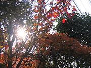 d0042618_292324.jpg