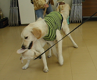 e0006018_721269.jpg