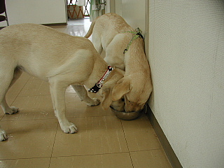 e0006018_7241410.jpg