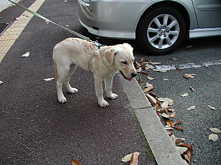 e0006018_792233.jpg