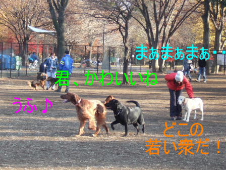 c0061923_22225773.jpg