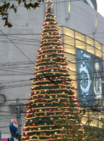 c0069036_23295188.jpg