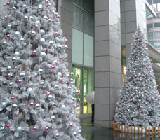 c0069036_2330118.jpg