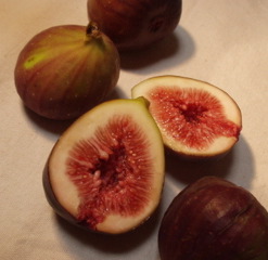 b0046537_12151494.jpg