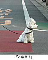 e0077142_0574495.jpg