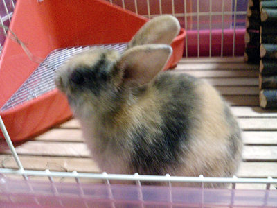d0022345_081138.jpg