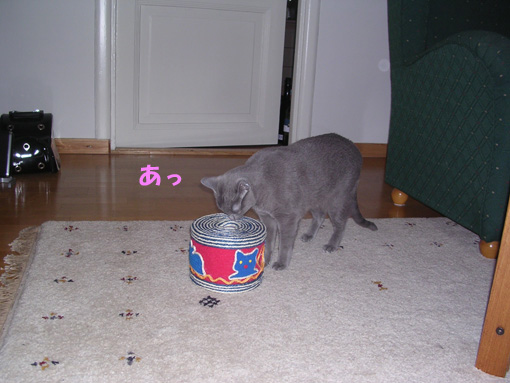 c0006748_656026.jpg