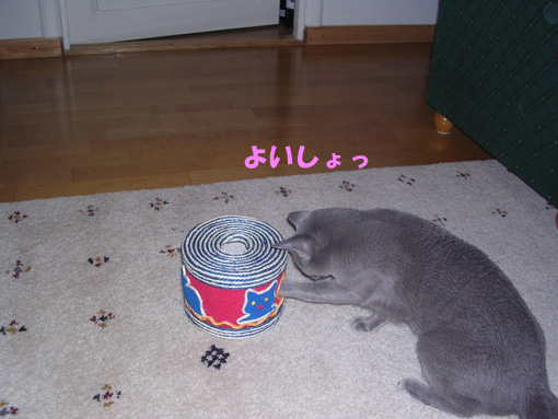 c0006748_6562963.jpg