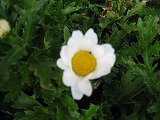 d0031853_9334416.jpg