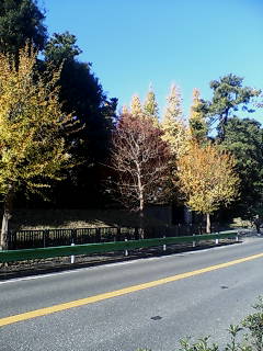 e0063653_13361513.jpg