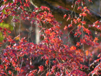 c0028664_23241658.jpg