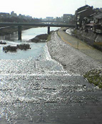 c0028664_237485.jpg
