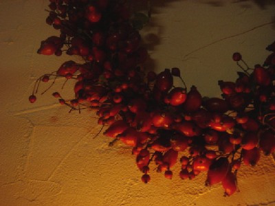 d0024864_661255.jpg