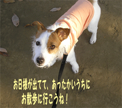 b0065067_2161352.gif