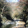 a0030168_10135414.jpg