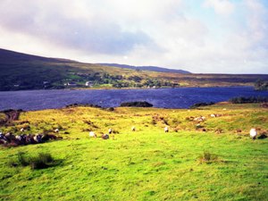 e0066369_118858.jpg