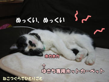 b0041182_12525977.jpg