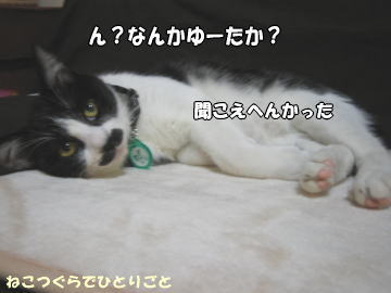 b0041182_12535025.jpg