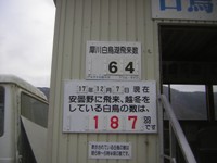 a0034487_1343635.jpg