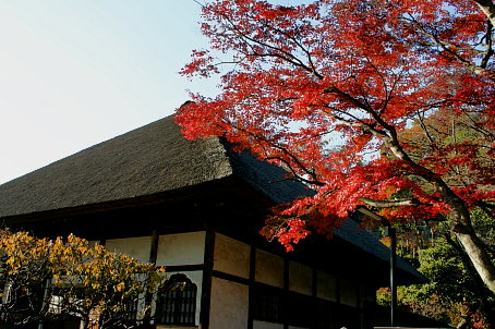 c0025895_113516.jpg