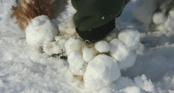 f0001895_20145332.jpg