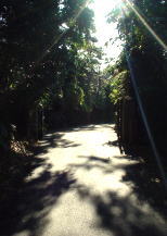 c0008598_151182.jpg