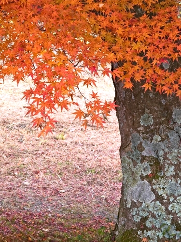 c0008502_21104137.jpg