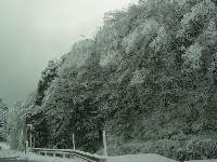 e0060807_061872.jpg