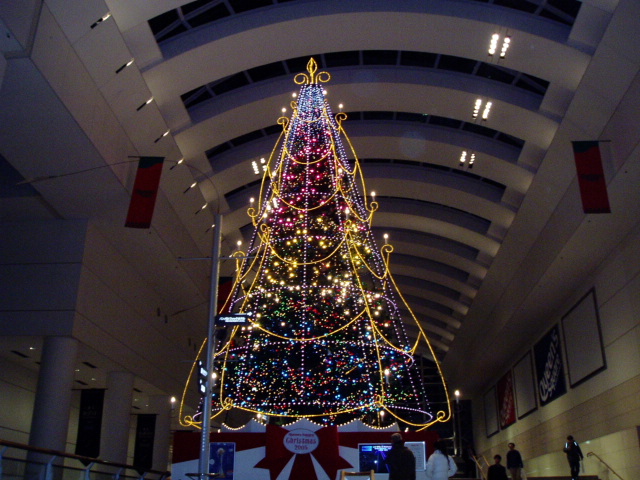 e0013419_23413998.jpg