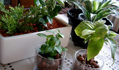 c0069036_120898.jpg