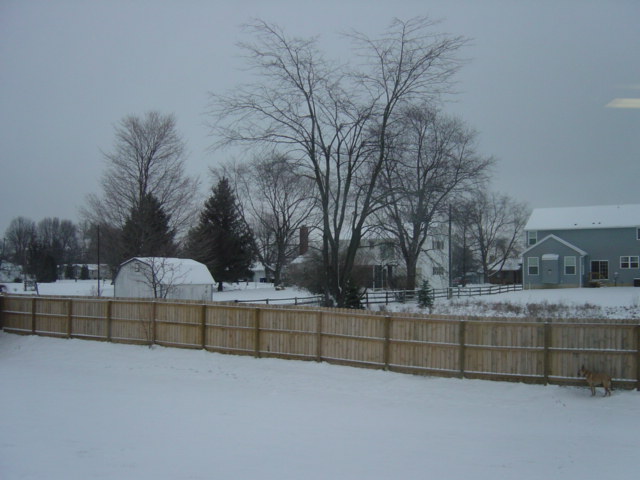 e0029853_10573322.jpg