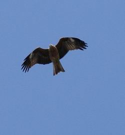 b0033169_23411924.jpg