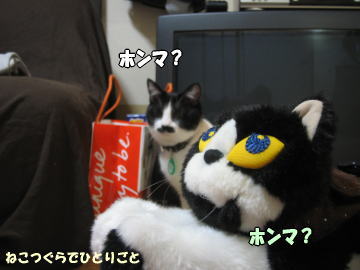 b0041182_1813276.jpg