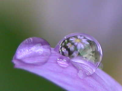 c0012189_2223563.jpg