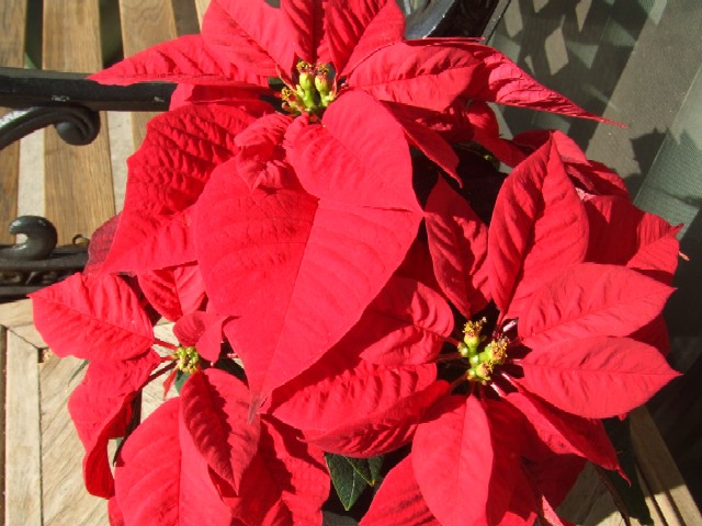 c0062603_14251535.jpg