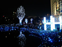 b0009106_20164773.jpg