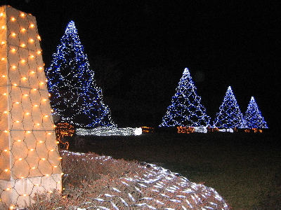 e0076814_2247943.jpg