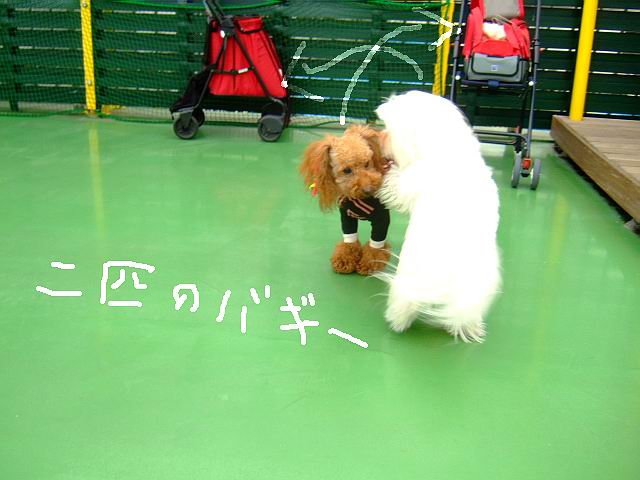 f0014815_20401723.jpg