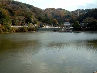 a0054016_21165688.jpg