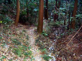 a0054016_21173423.jpg