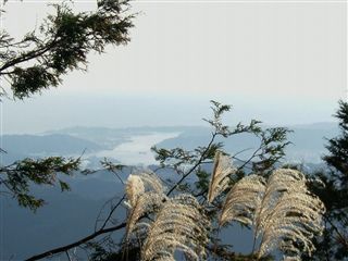 e0002820_21242531.jpg