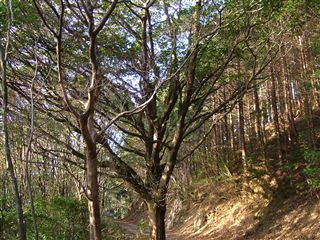 e0002820_21273886.jpg